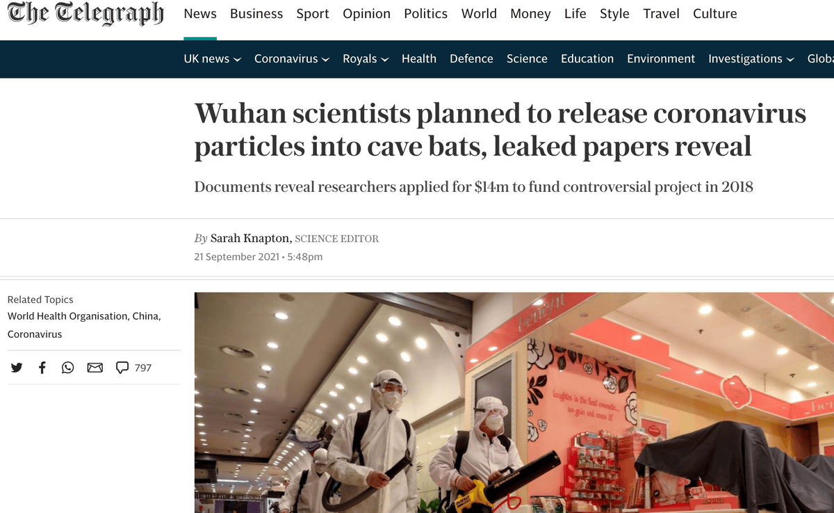 Doch laut «The Telegraph» gibt es Hinweise darauf, dass das Virus von Menschen geschaffen wurde. Die britische Tageszeitung beruft sich dabei auf geleakte Dokumente einer Gruppe von Aktivisten und Aktivistinnen, die die Ursprünge des Virus untersuchen.