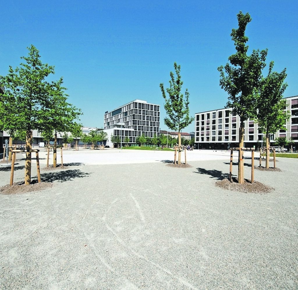 Bartschiger Maler Und Gipsergeschaft