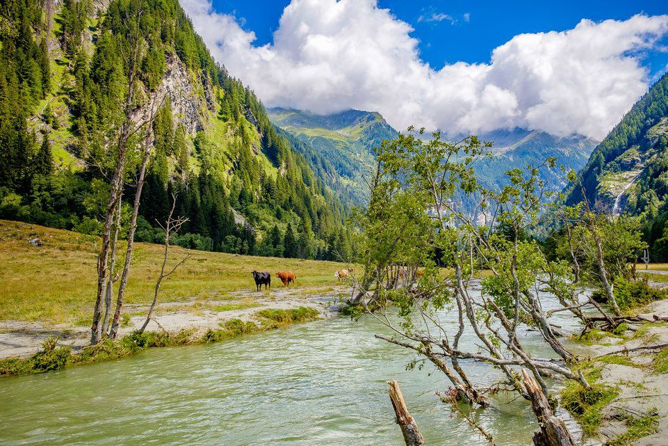 Grüne Wiesen und gigantische Schluchten | Zürcher Unterländer
