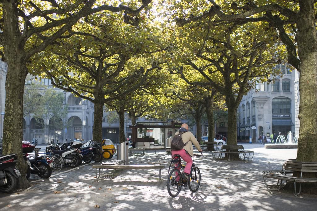 More trees for Zurich the city wants to enlarge its crown europe