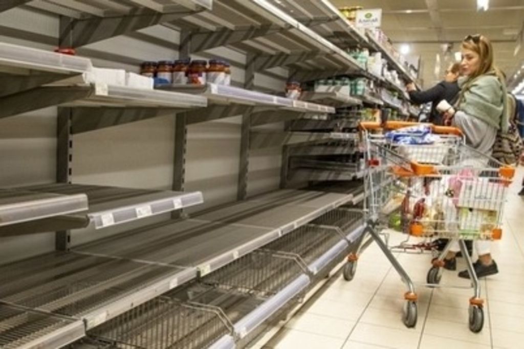 Die Psychologie des Hamsterns