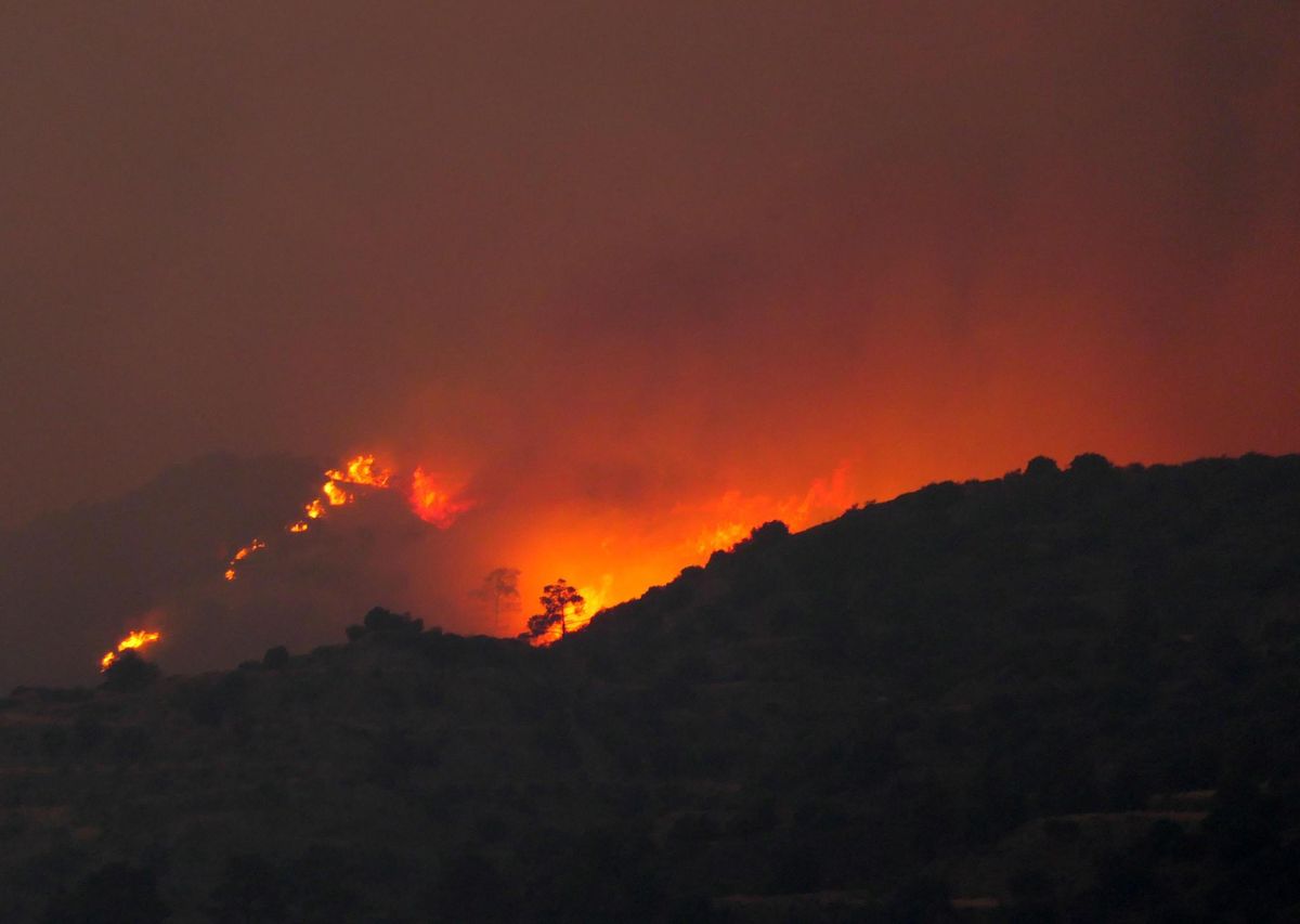 Im Süden der Insel – Zypern bittet EU und Israel wegen Waldbrands um Hilfe - Vimarsana News
