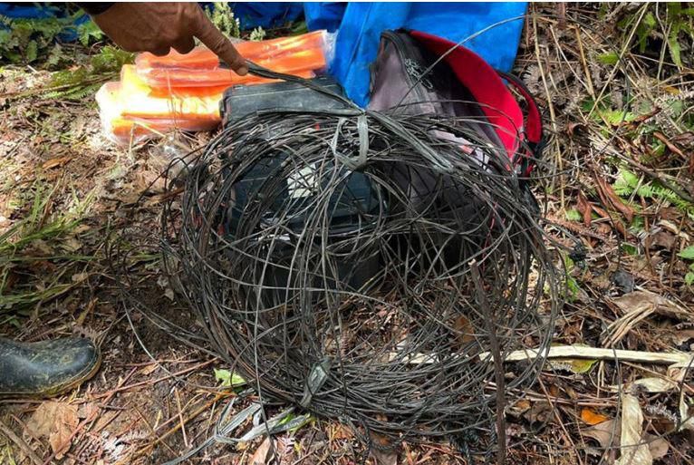 Sie hatten sich in ausgelegten Drahtfallen verheddert und verendeten qualvoll. Sie hatten sich in ausgelegten Drahtfallen verheddert und verendeten qualvoll.