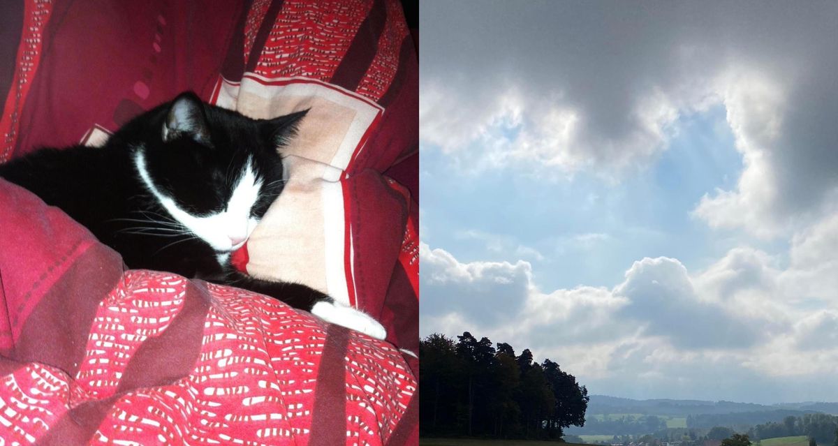 Belfaux Fr Et C Est La Que J Ai Apercu Exactement Le Profil De Mon Chat Minutes Belfaux Fr Et C Est La Que J Ai Apercu Exactement Le Profil De Mon Chat Minutes