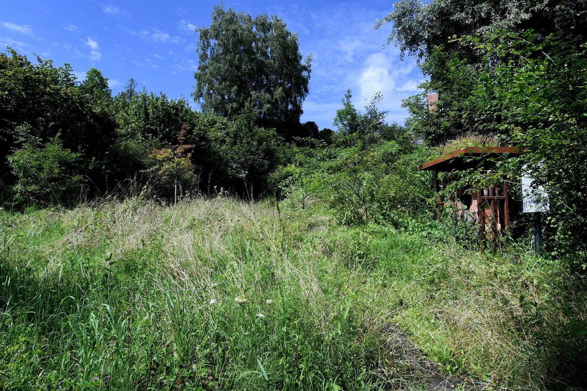 Naturlehrgarten in Winterthur – Wildes Gestrüpp an bester Lage - Vimarsana News
