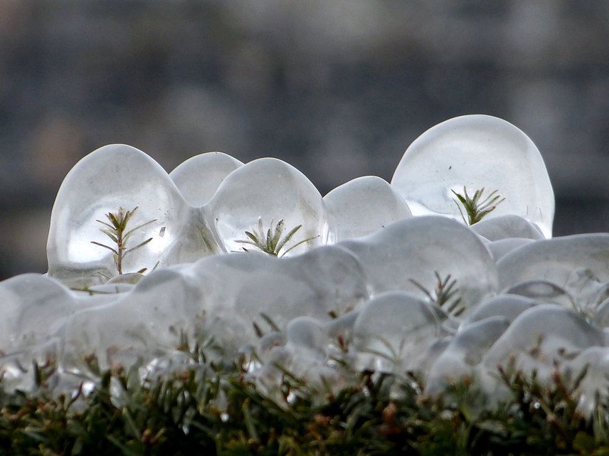 rapperswil-jona gay sex treffen versoix