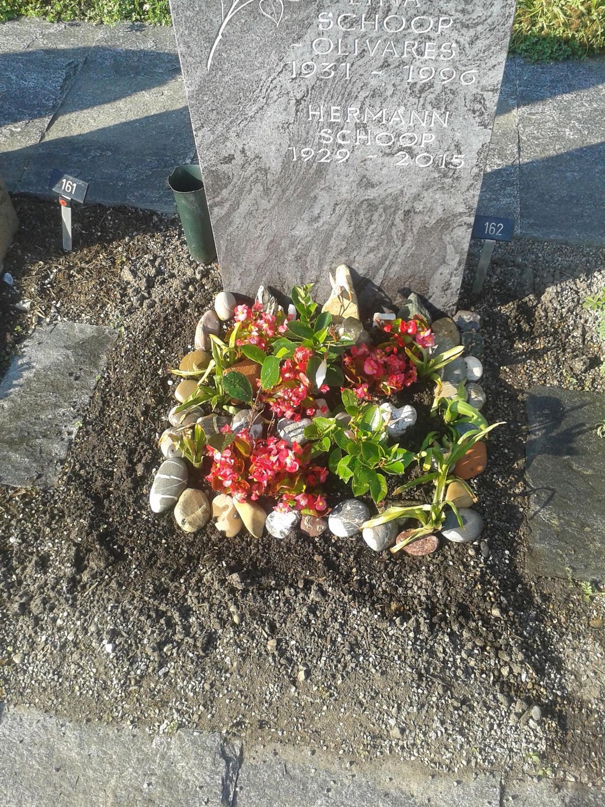 Friedhof Oberwinterthur – Grab zurechtgestutzt, ohne zu informieren - Vimarsana News