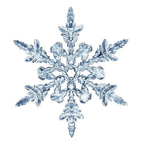 Das Geheimnis Der Geometrischen Formen In Der Natur Der Bund