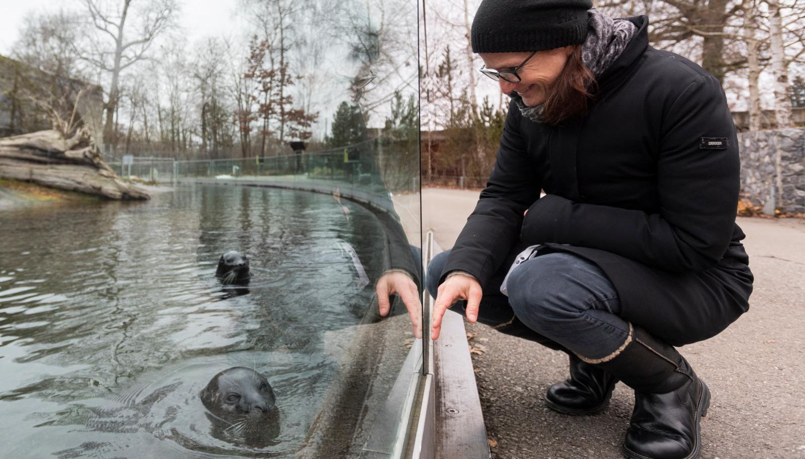 Langjähriger Dählhölzli-Bewohner – Wisentbulle Enrik musste ...
