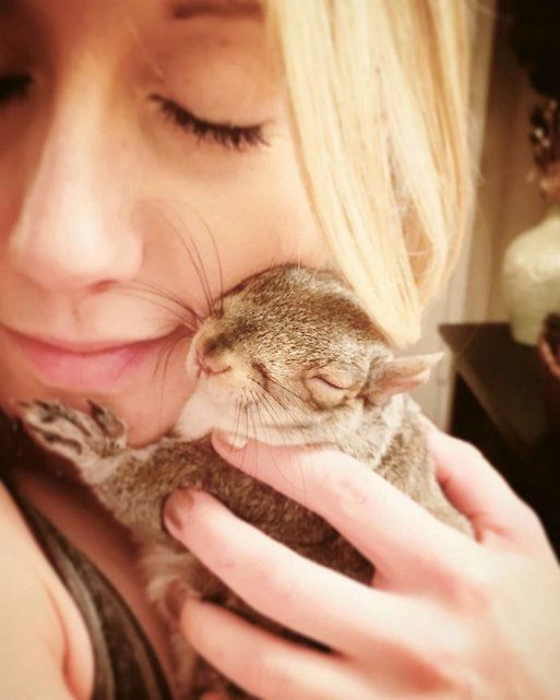 Sauvee Ils Retrouvent Un Nid D Ecureuil Dans Leur Lit Le Matin