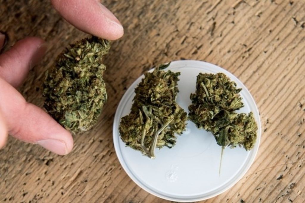 Detenir Un Peu De Cannabis N 39 Est Plus Illegal 24 Heures Detenir Un Peu De Cannabis N 39 Est Plus Illegal 24 Heures
