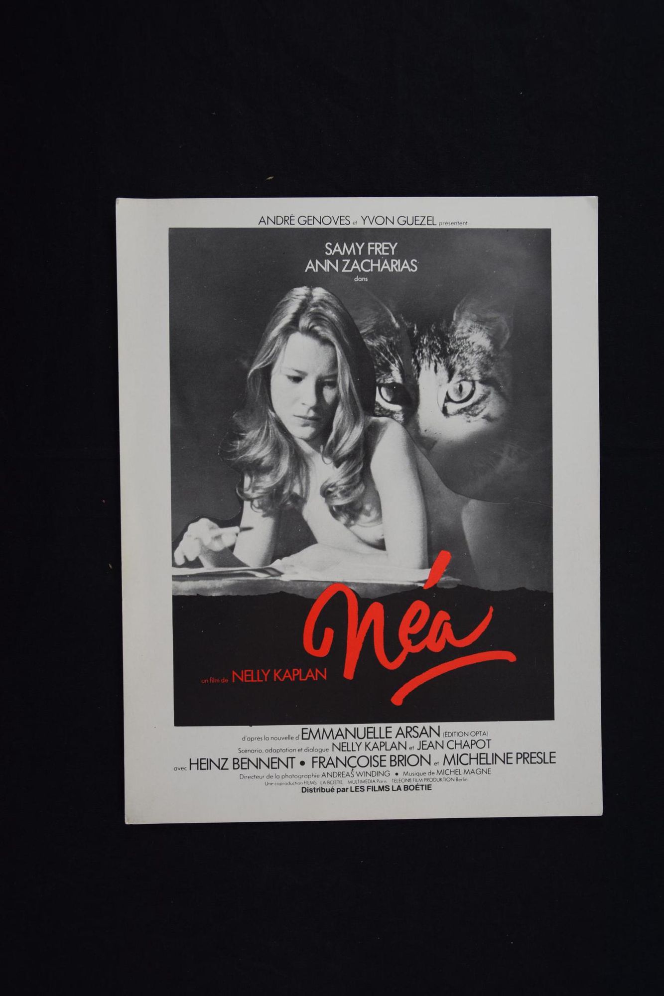 cartel de la película 