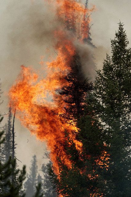 Comment Battre Le Geant De Feu Feu – L'incendie géant progresse en Idaho | Tribune de Genève