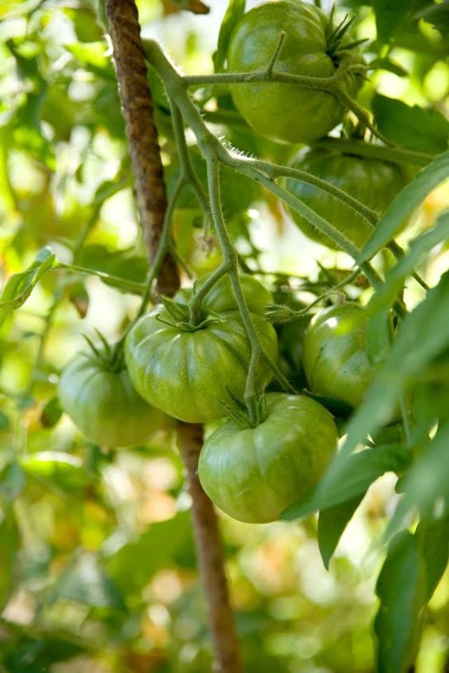 SMS vom Mittwoch, 5. April 2017 | Berner Zeitung