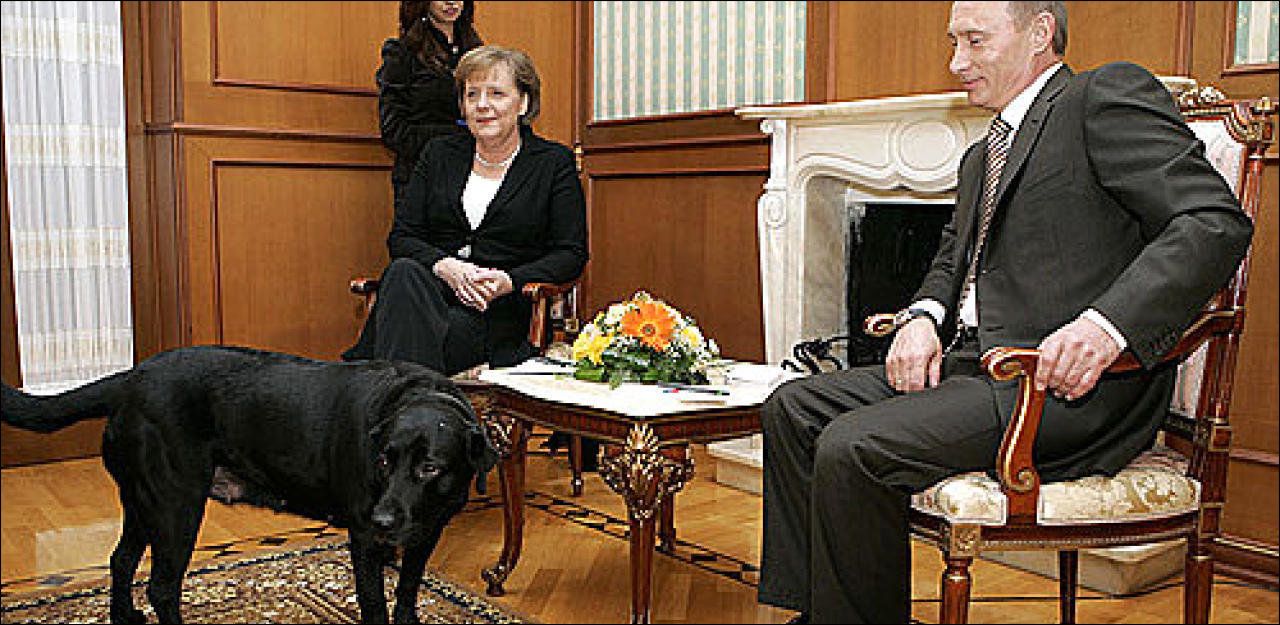 Treffen Mit Merkel Bleibt Der Hund Diesmal An Der Leine Herr Putin 20 Minuten