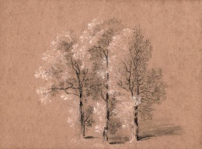 Er Ist Ganz Verandert In Seiner Brust Kocht Es Siedend Heiss Der Bund