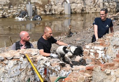 Inondations: la Belgique rend hommage aux victimes