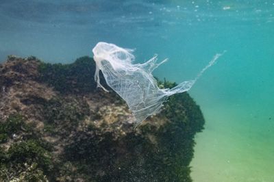 Le monde doit d’urgence s’attaquer à la pollution plastique marine