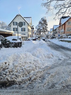 Schneeraumung Frauenfeld Tg Anrufe Und Reklamationen Bringen Derzeit Nichts 20 Minuten