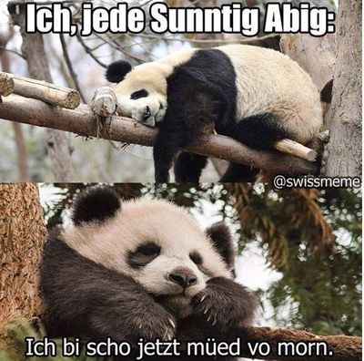 Get Vorbei sonntagabend sprueche Free