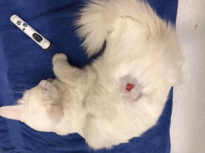 Download Trauriges auge entfernt Desktop Wallpaper Free Trauriges Auge Entfernt