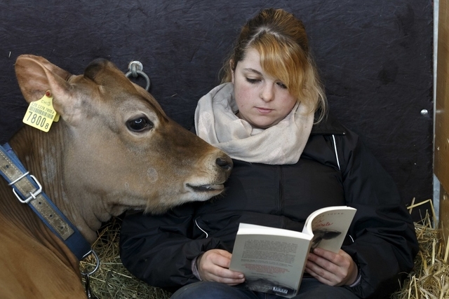 Lesen, eine Lebenszeit konsumierende Plage – vor allem, wenn man ein geschenktes Buch liest. Foto: Keystone