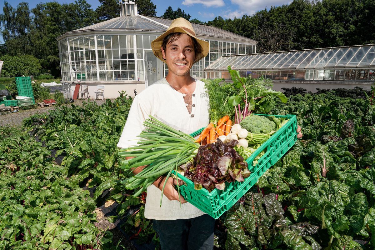 Aux Jardins de Valérie, Antoine Boudraa