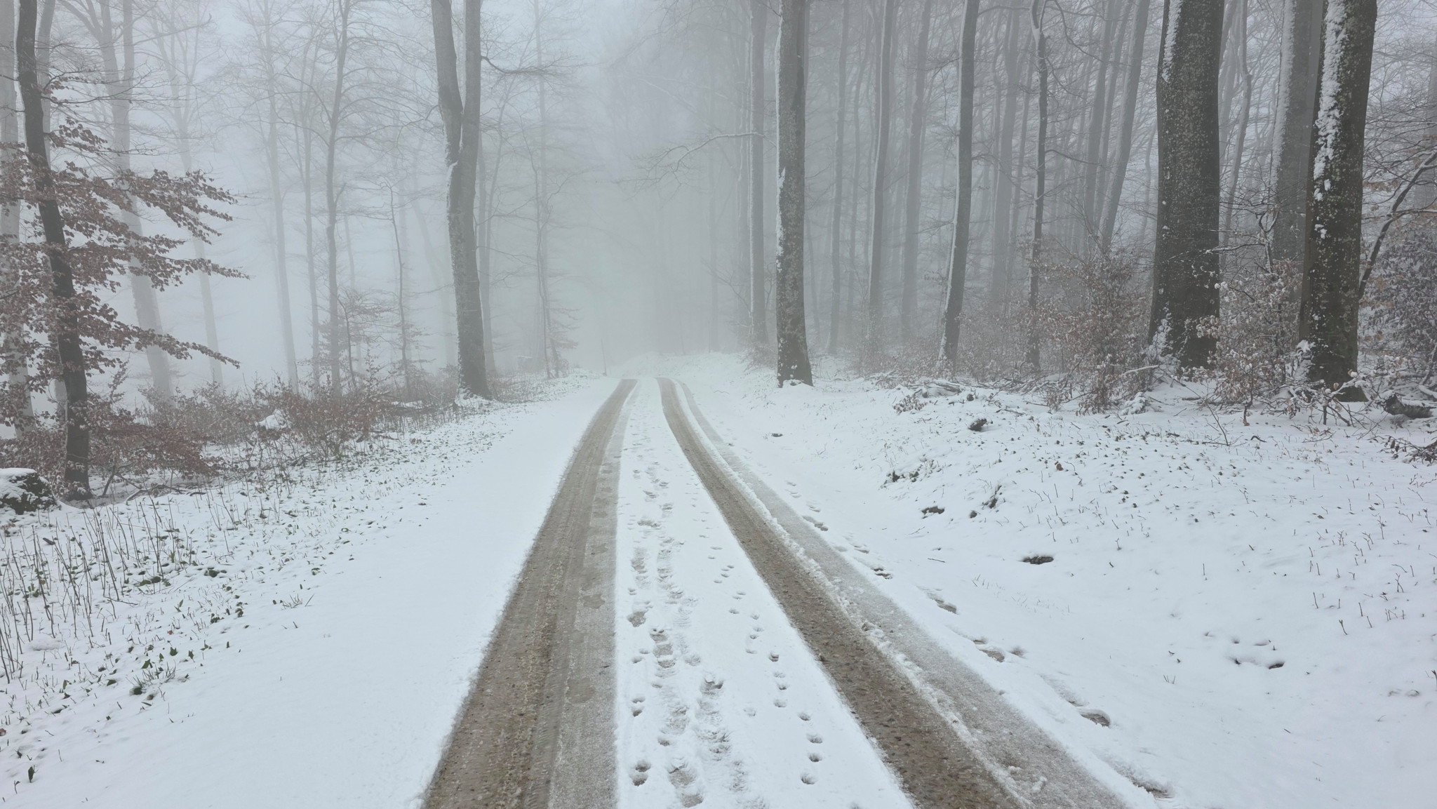 Schnee in der Flughafenregion: Weisses Frühlingserwachen auf der Lägern