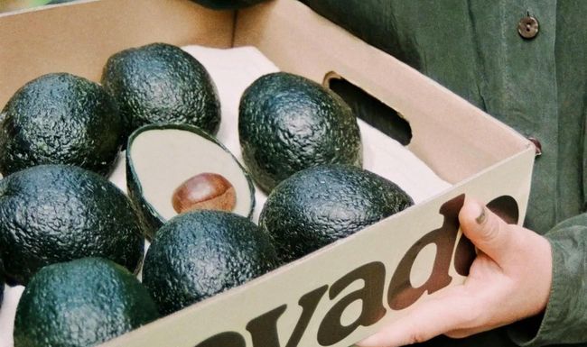 Die Avocado-Alternative Ecovado wurde von Arina Shokouhi, einer Designstudentin an der Central Saint Martins Universität in London, entworfen.