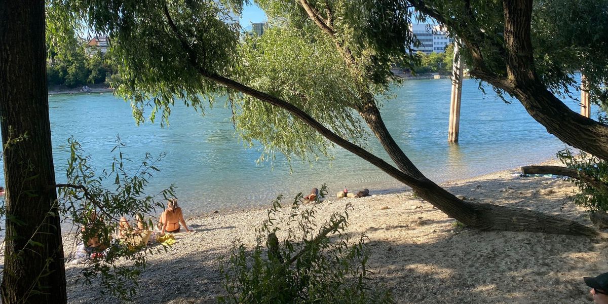 Basel: Badespots am Rhein in Kleinbasel und Grossbasel