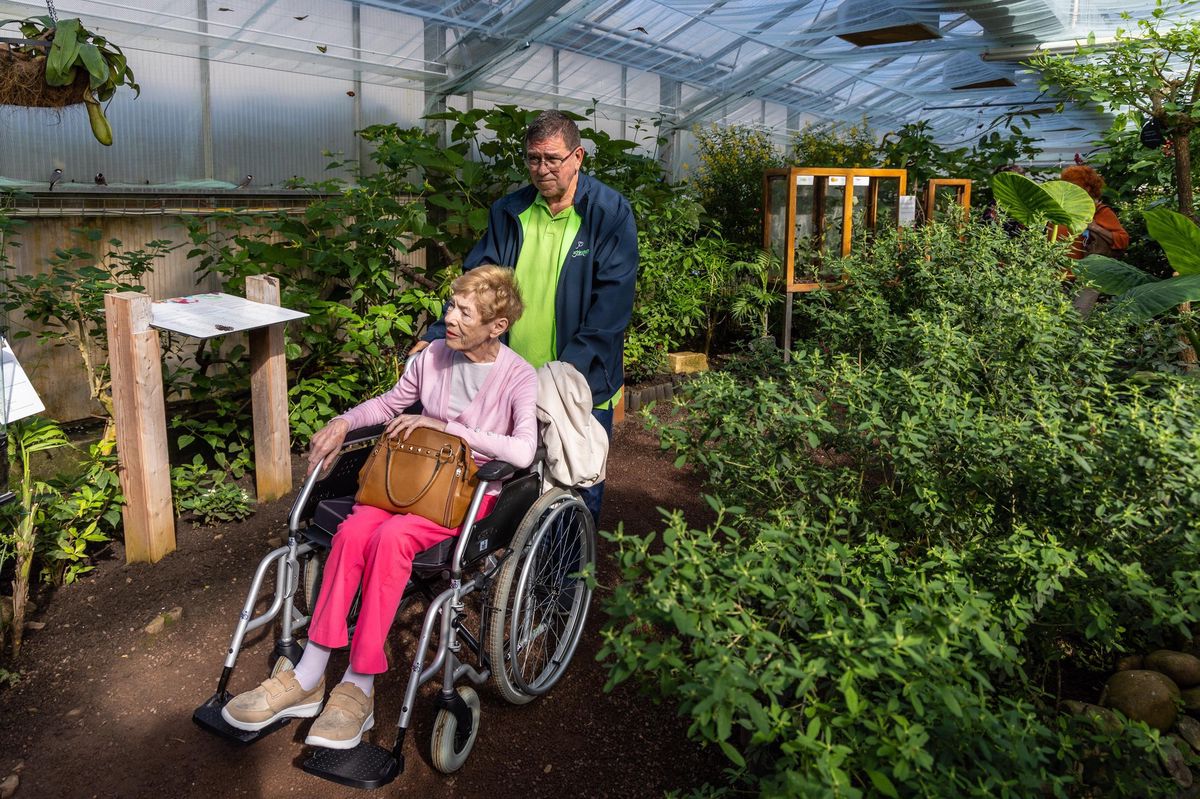 Pas De Plus Belle La Vie Cette Semaine Belle action au Luxembourg : En fin de vie, Josette, 85 ans, a pu