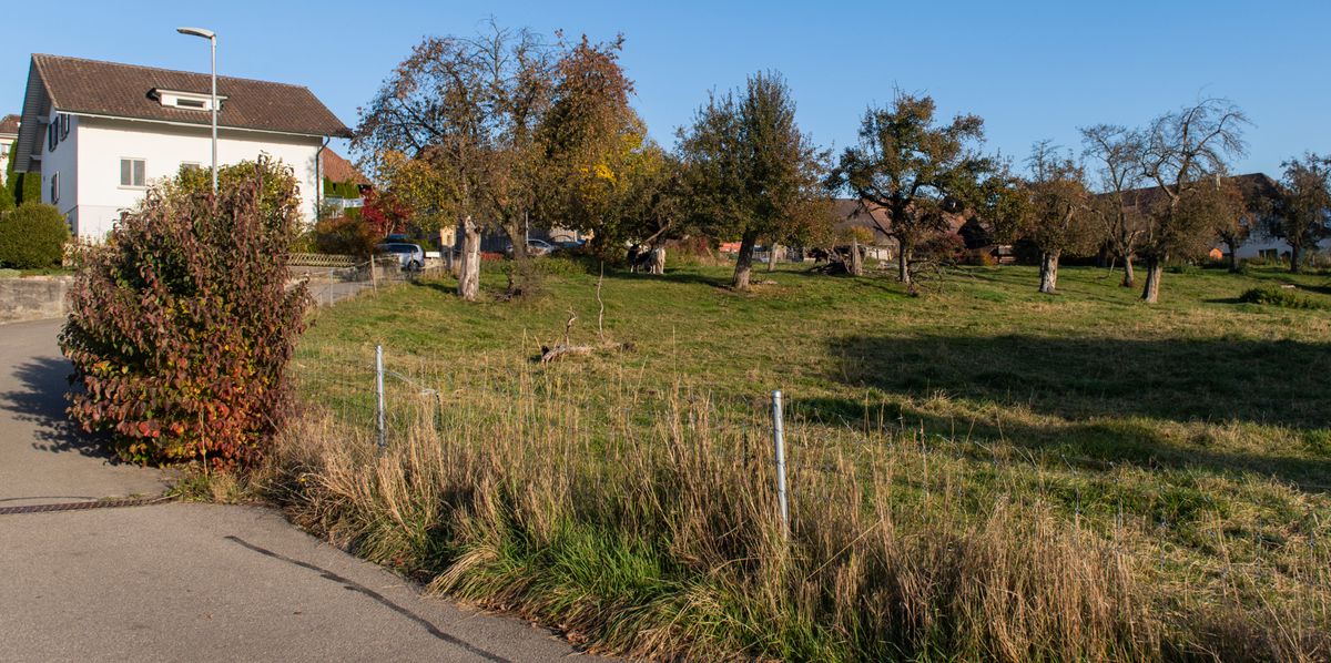 Überbauung "Obstgarten" am 28.10.2021 in Rubigen. Foto: Raphael Moser / Tamedia AG