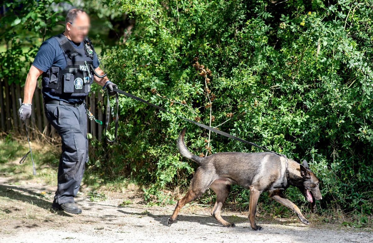 Photo d’illustration. Policier allemand avec un chien entraîné pour flairer les explosifs.