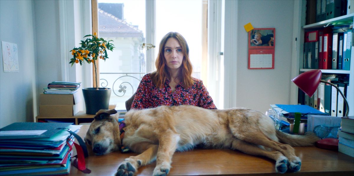 Une femme assise derrière un bureau avec un chien allongé sur le bureau entouré de dossiers et documents.