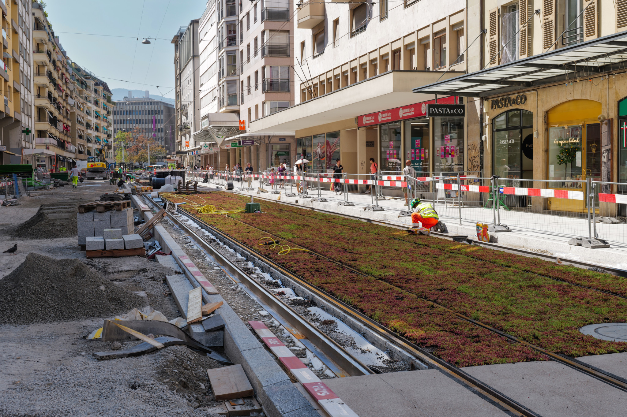 Transports publics: Les TPG rétablissent leurs trams et ajustent plusieurs lignes pour la rentrée