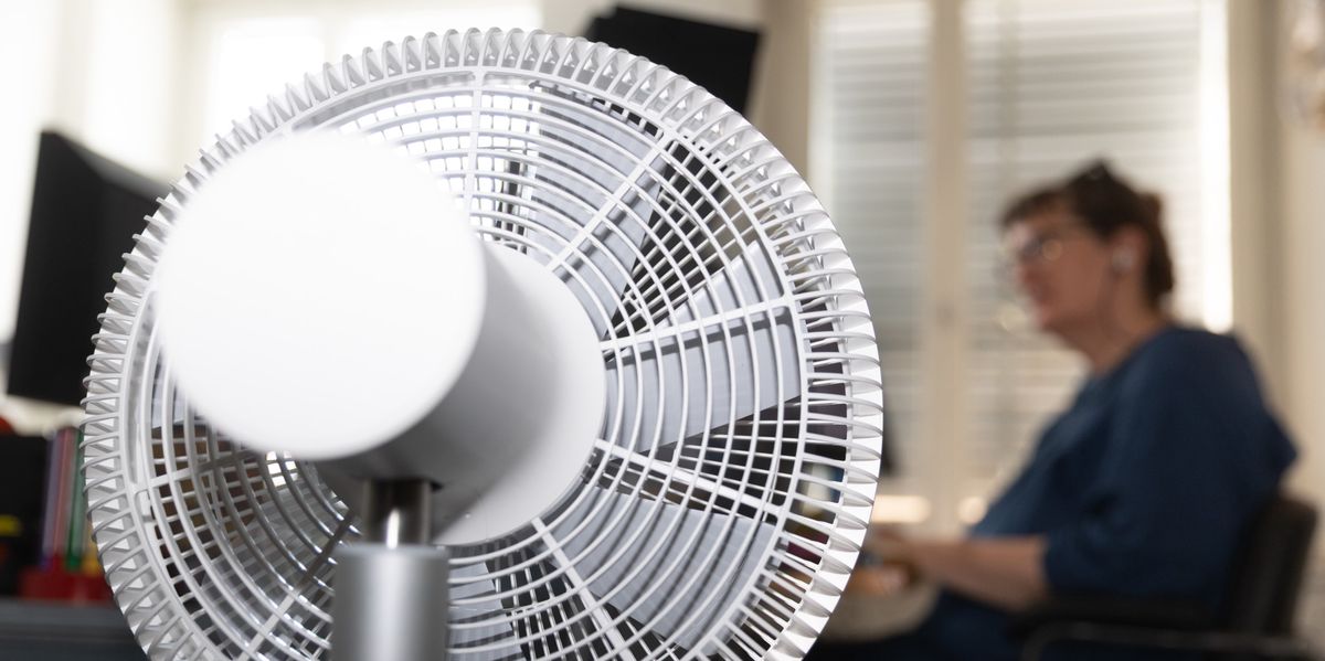 Sommerhitze-und-Gesundheit-Gew-hnt-sich-unser-K-rper-wenigstens-ein-bisschen-an-die-Hitze-