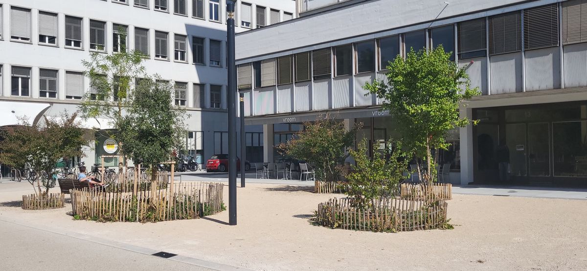 Les Rois se mettent au vert