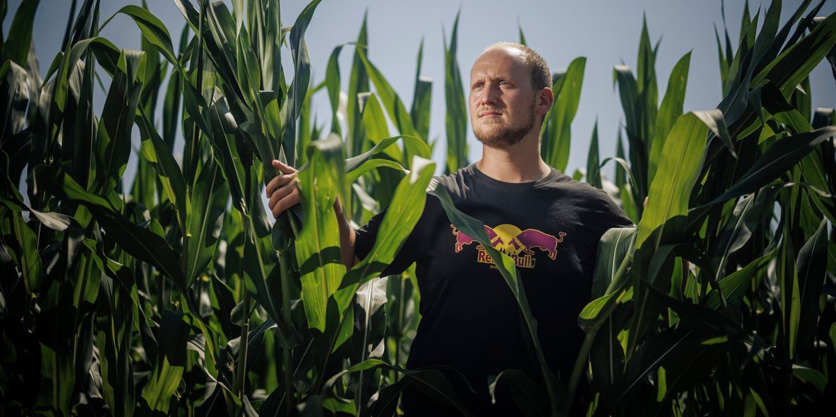 Arnaud Rochat dans un champ de maïs à quelques encablures de Bavois.