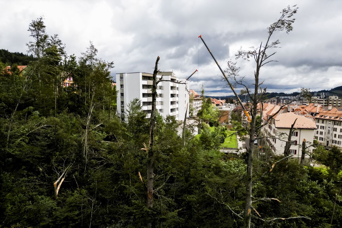Une vue sur des arbres casses un jour apres la forte tempete le mardi 25 juillet 2023 a La Chaux-de-Fonds. Le deblaiement des materiaux et la reparation des infrastructures ont repris mardi a La Chaux-de-Fonds dans le canton de Neuchatel, apres la violente tempête de la veille. (KEYSTONE/Jean-Christophe Bott)