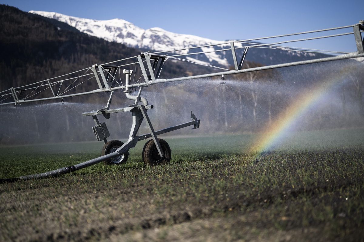 Cédric Blanc, producteur de pomme de terre à Missy dans la Broye, utilise pour la première fois son système d’irrigation au mois de mai.