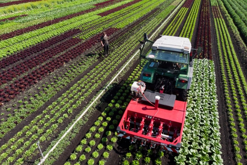 «Les consommateurs sont complètement oubliés»