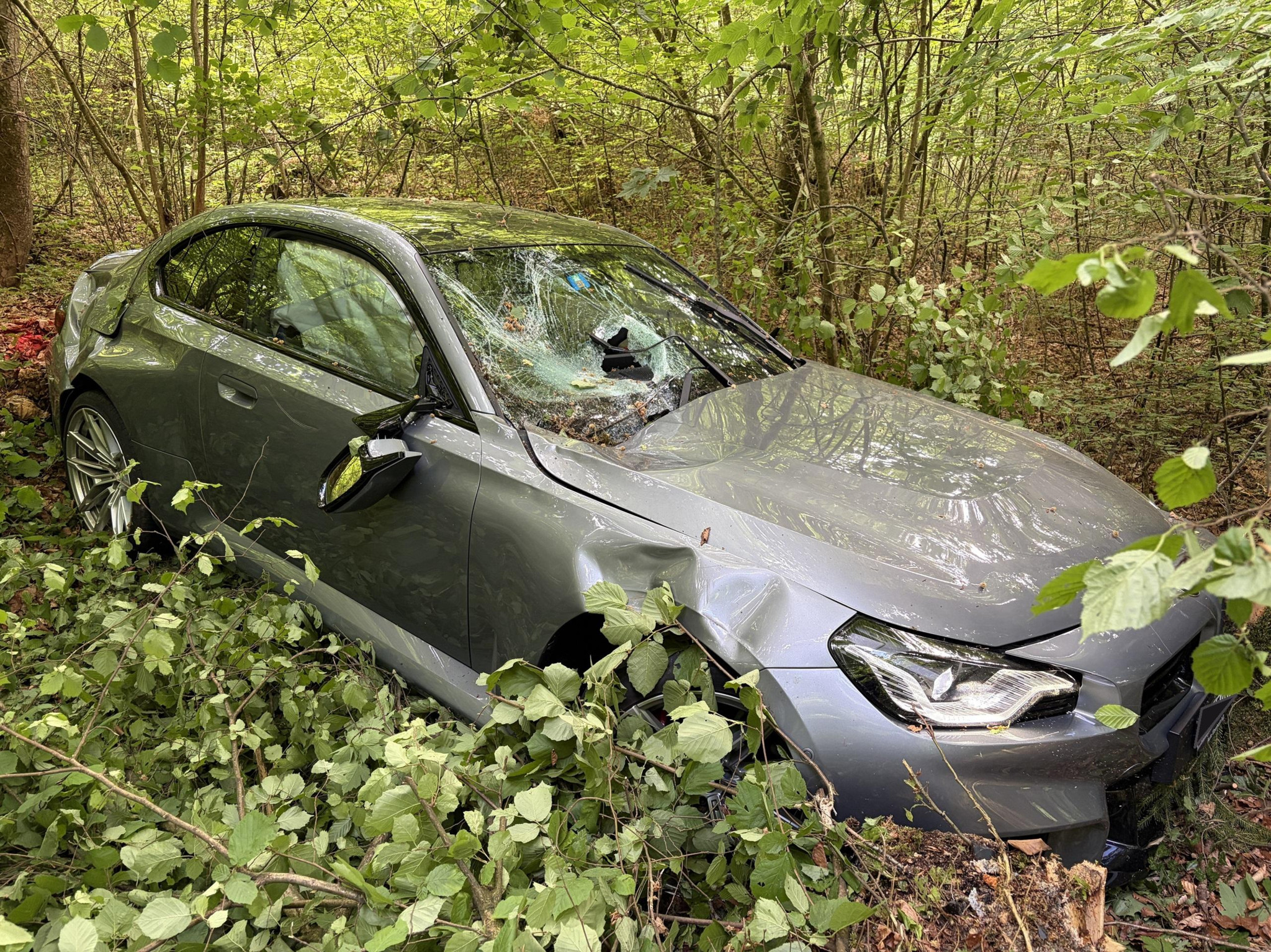 Autolenker festgenommen: Mit 480 PS die Böschung hinunter