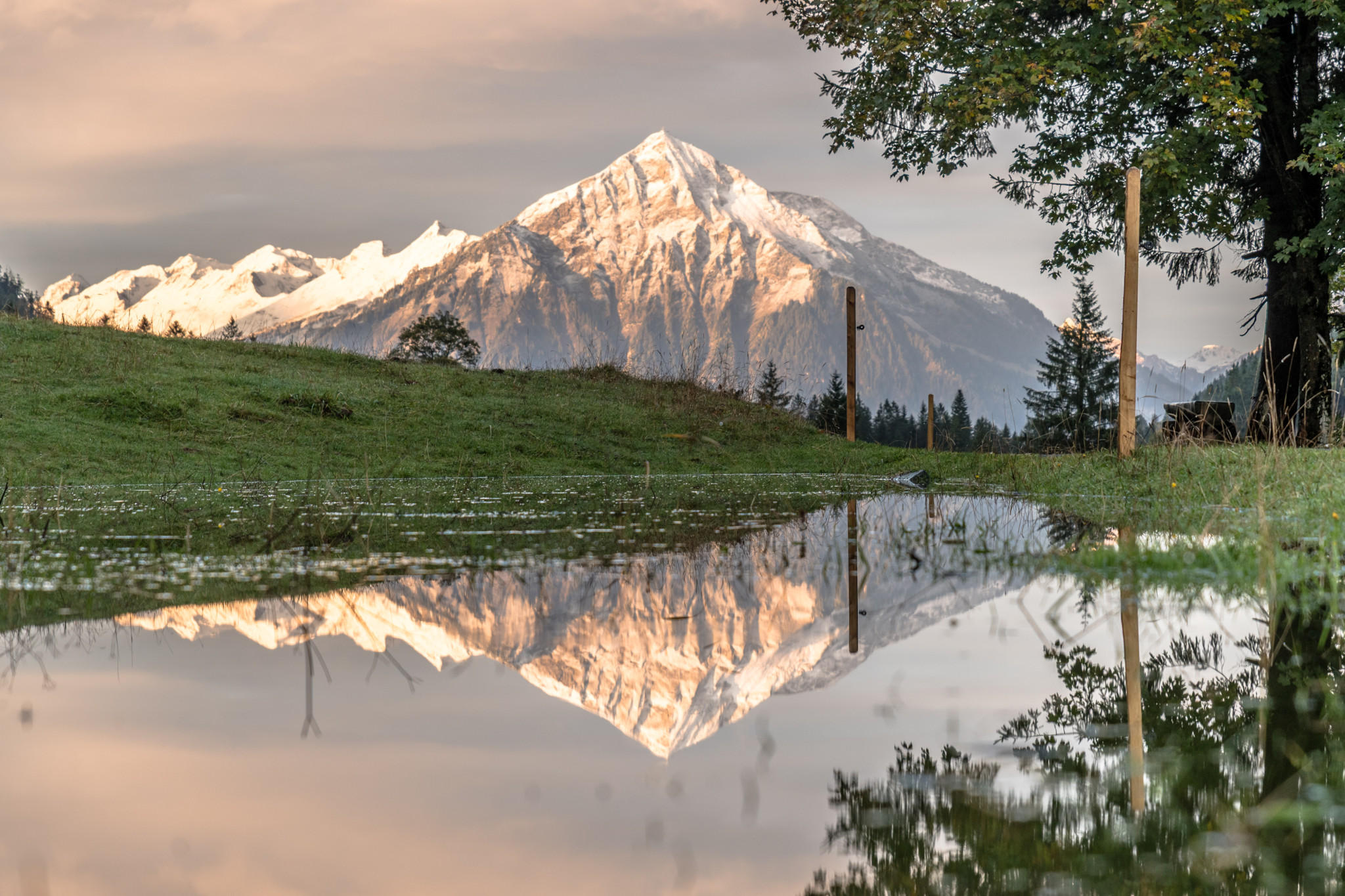 Schneebedeckter Alpengipfel im Abendlicht spiegelt sich in einer stillen Wasserfläche auf einer grünen Wiese. Schneebedeckter Alpengipfel im Abendlicht spiegelt sich in einer stillen Wasserfläche auf einer grünen Wiese.