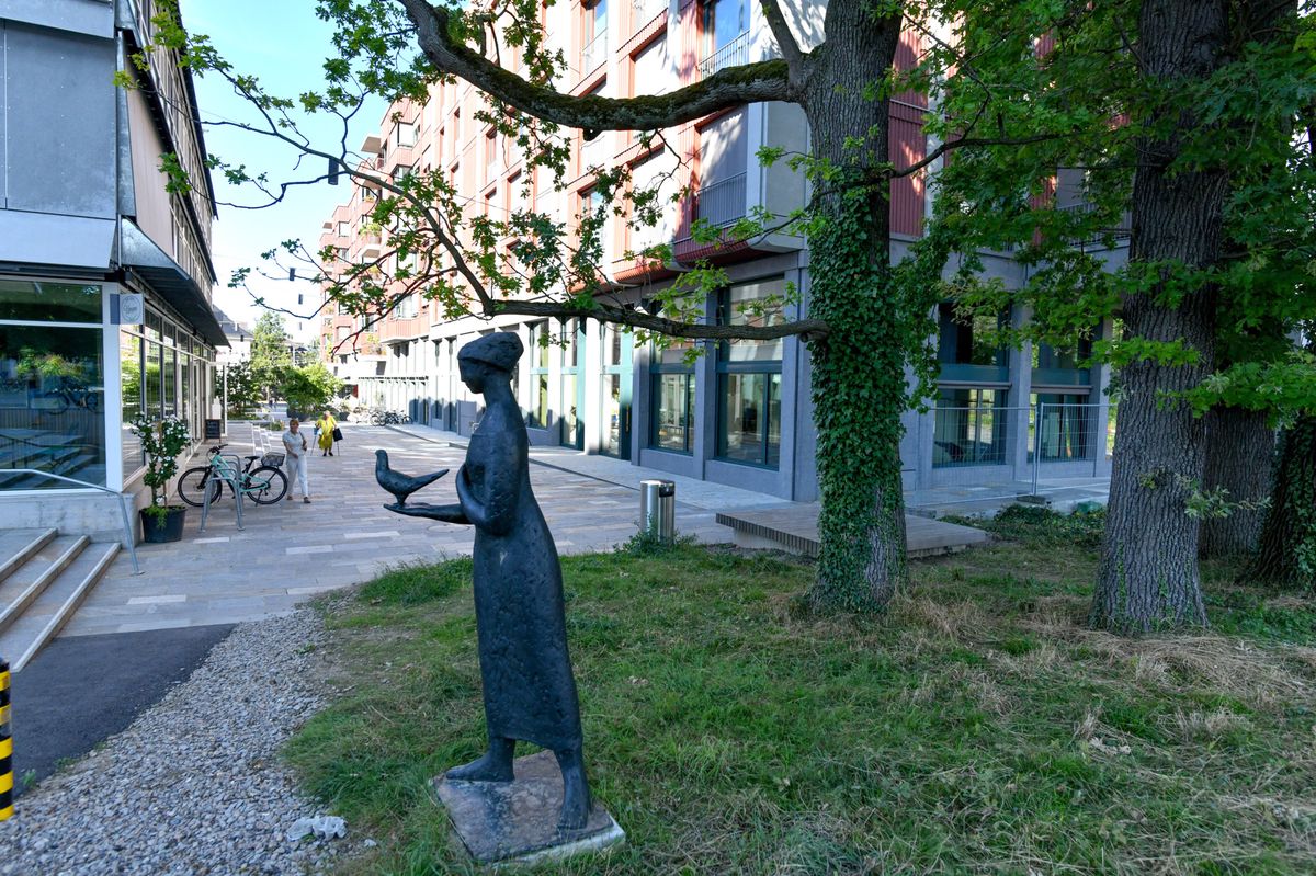 Sommerserie Iselin Das Westfeld und das Felix Platterspital 9.08.2024 foto pino covino