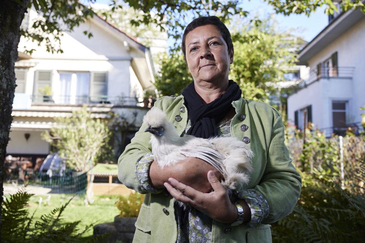 Chantal et Griotte, une poule Soie au plumage particulier. Cette Lausannoise a mangé les oeufs du poulailler de son jardin au centre-ville. Elle ne peut plus en consommer aujourd’hui à cause de la pollution aux dioxines.