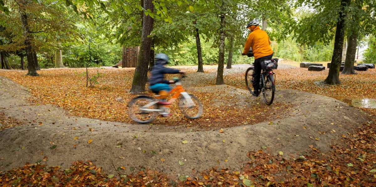 The Current State of Forests in the Canton of Bern - News Directory 3