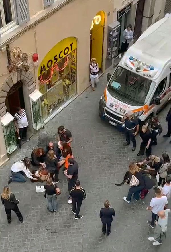 Un chien tombe du 3e étage sur une femme enceinte