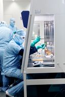 Fachkongress: Novartis meldet positive Pluvicto-Daten bei Prostatakrebs
