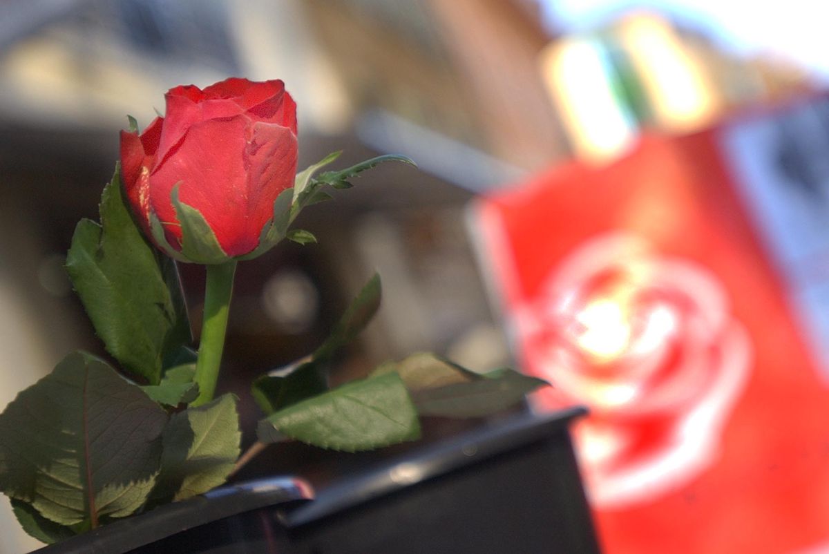 La rose socialiste semble peiner à fleurir partout dans le canton.