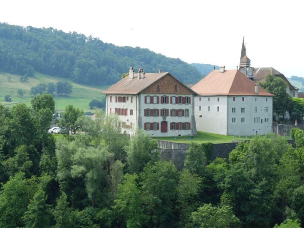 Le comité "Sauvons la colline de Moudon" lance une pétition au Conseil d’État vaudois pour que la Ville haute soit préservée de toute nouvelle construction.